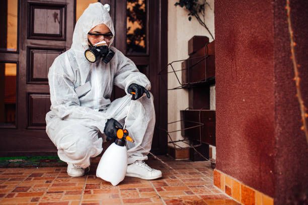 Reliable Cockroach Control contractor in Ferris, TX by Nex Pest Control
